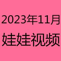 2023年11月视频